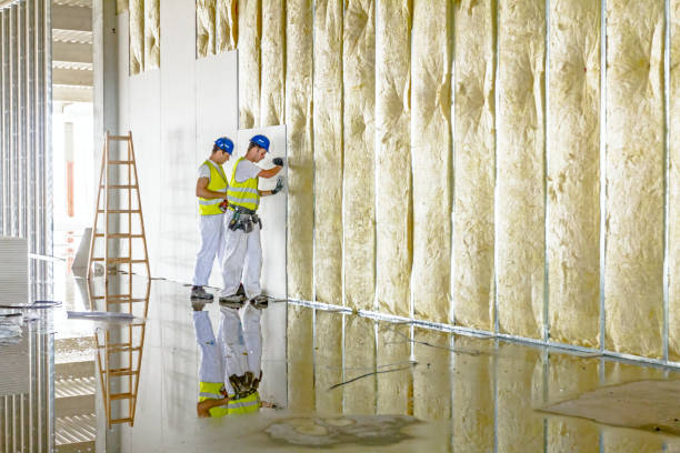 Types of Insulation We Offer in Fair Oaks Ranch, TX